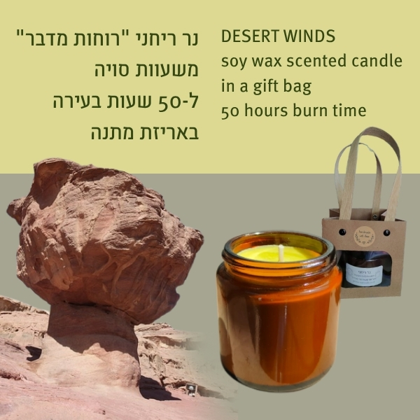 DESERT WINDS soy wax scented candle