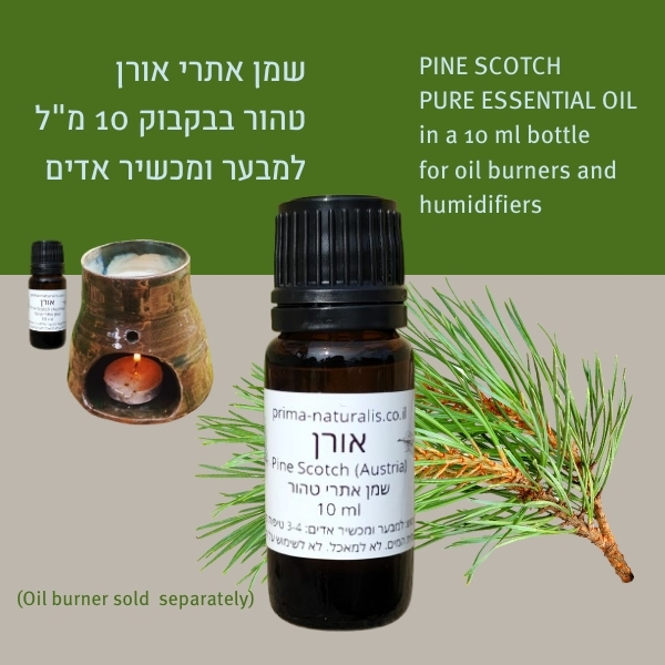 Pine Essential Oil