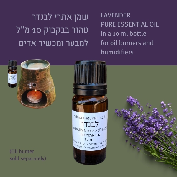 Lavender Essential Oil