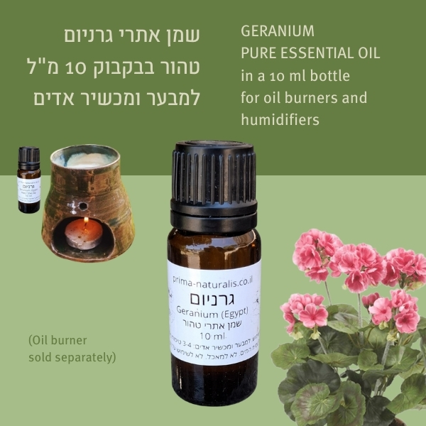 Geranium Essential Oil