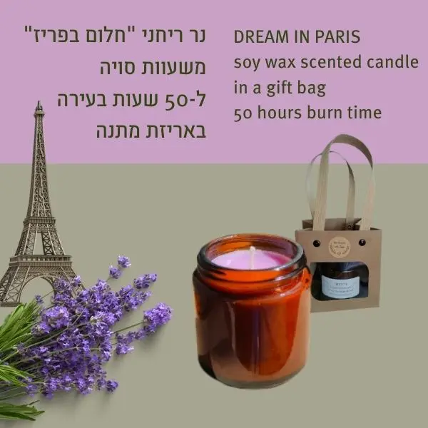 DREAM IN PARIS soy wax scented candle