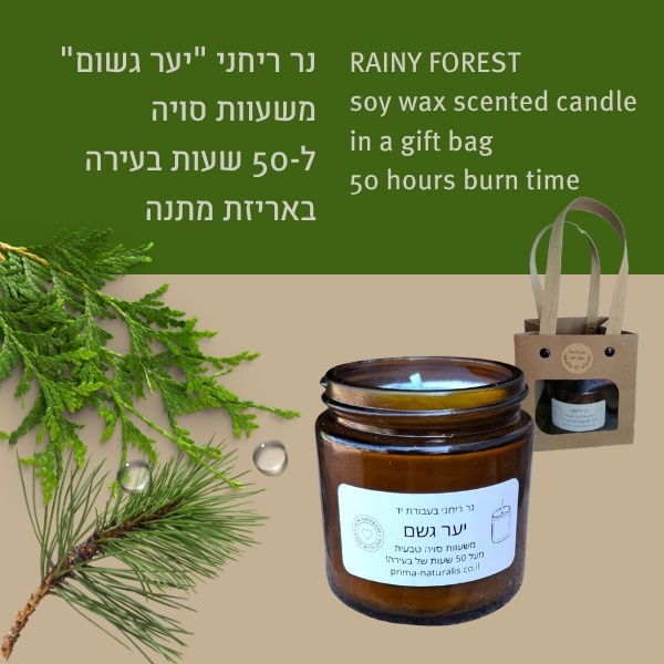 RAINY FOREST soy wax scented candle