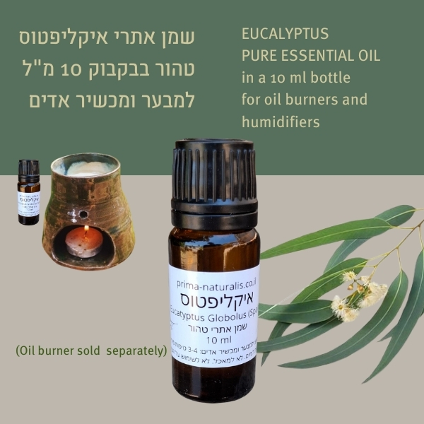 Eucalyptus Essential Oil