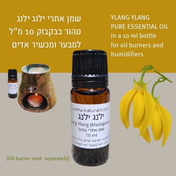 Ylang Ylang Essential Oil